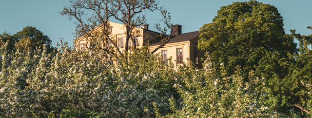 Herrgårdsbyggnaden bland grönskande trädgård