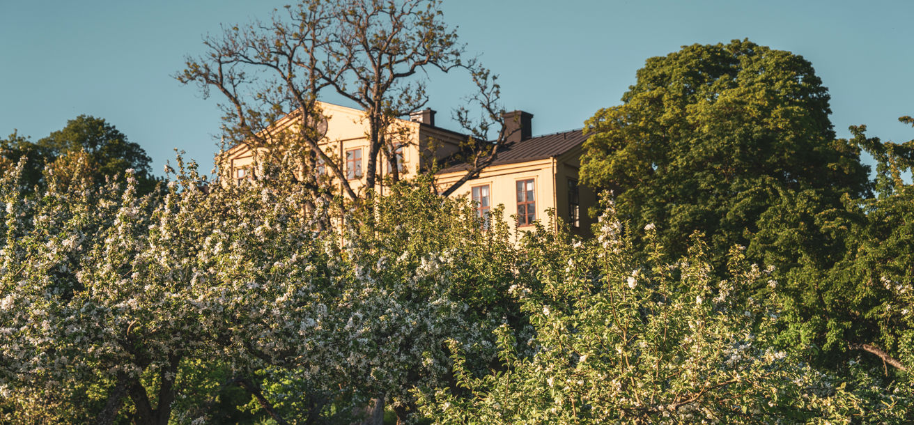 Herrgårdsbyggnaden bland grönskande trädgård