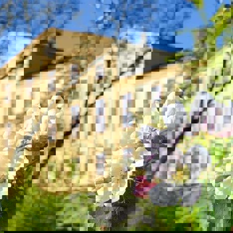 Herrgården när äppelträden blomstrar