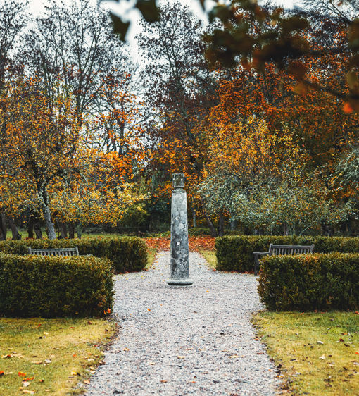 Trädgården på hösten