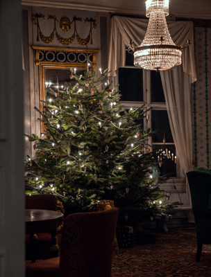 Vacker julgran i en av herrgårdens salonger