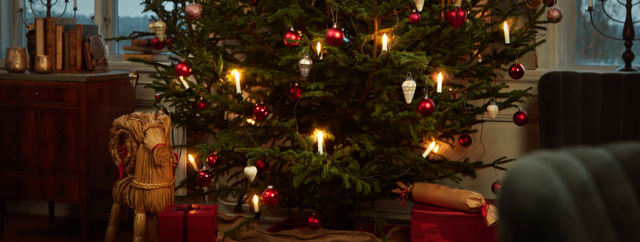 Julgran med paket