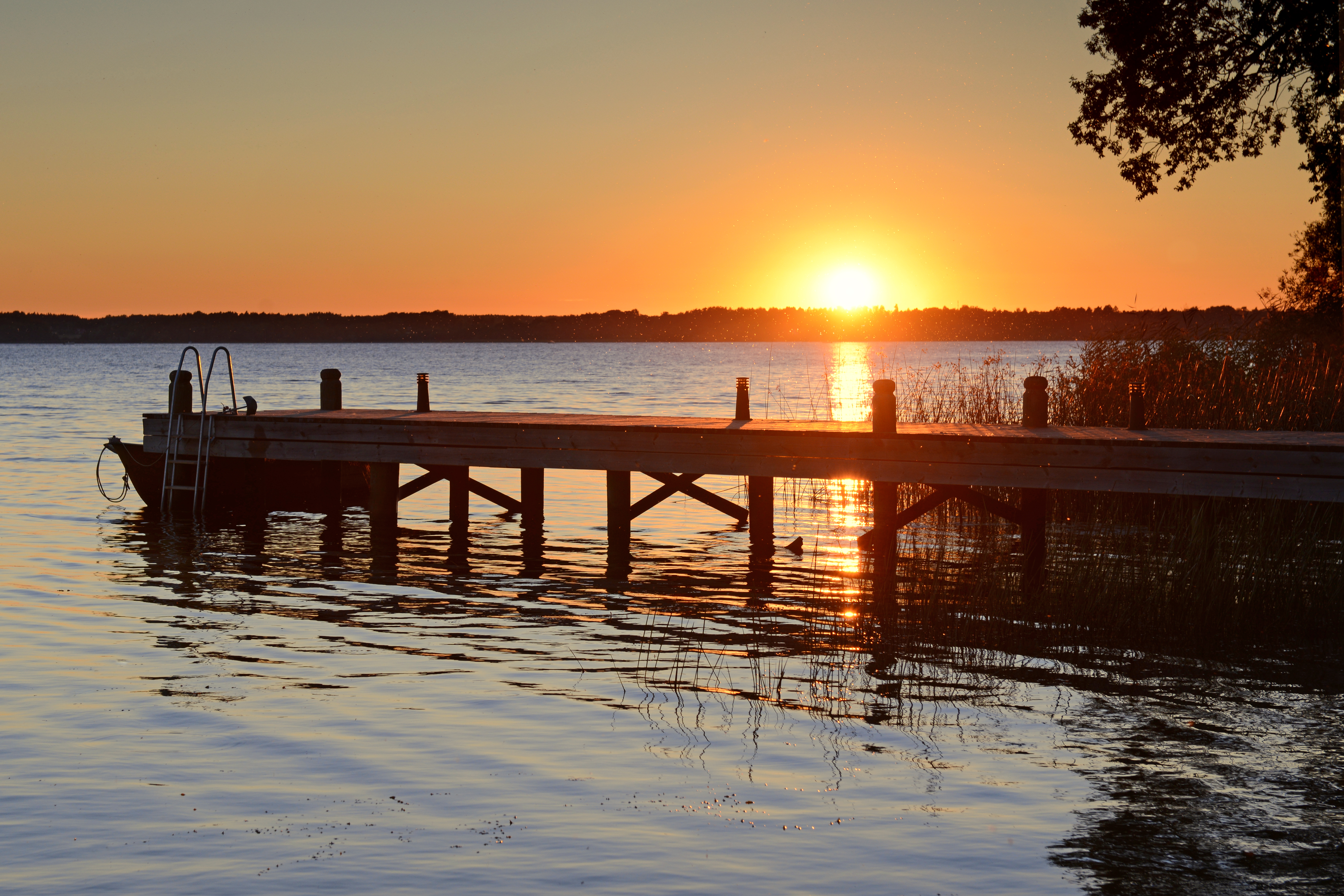 Brygga med stege i solnedgång