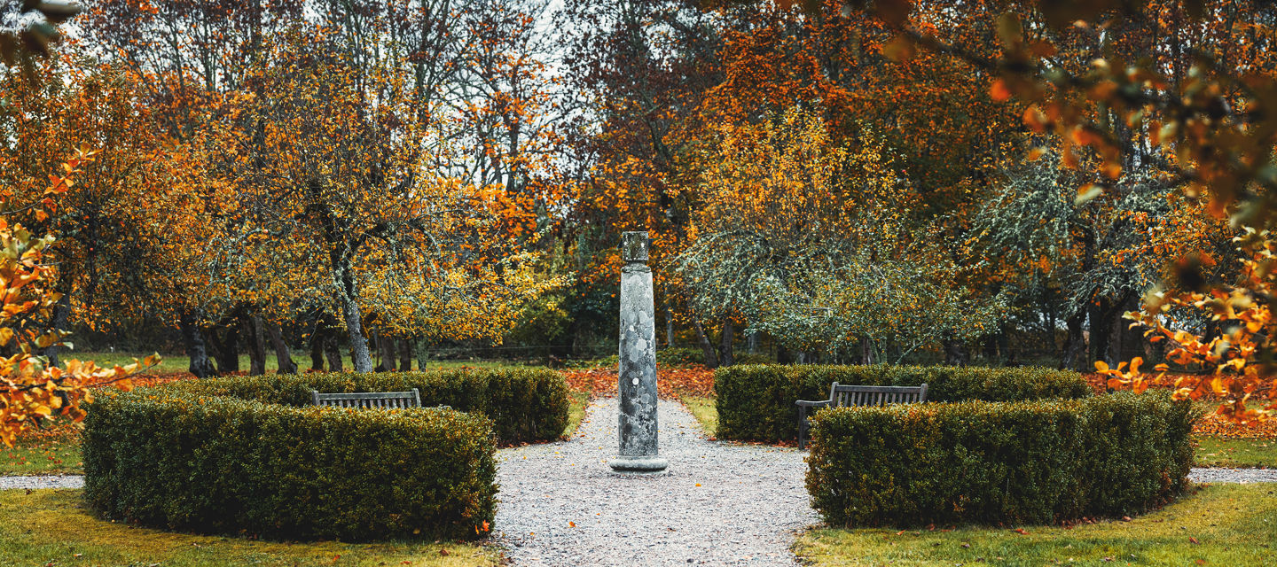 Trädgård i höstsrkud med orangea löv