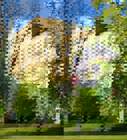 Herrgården när äppelträden blomstrar