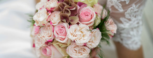 Vackra rosor i rosa nyanser